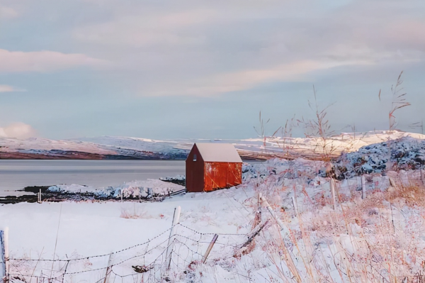 2022，好好地生活，隨心隨緣地活！（治癒）