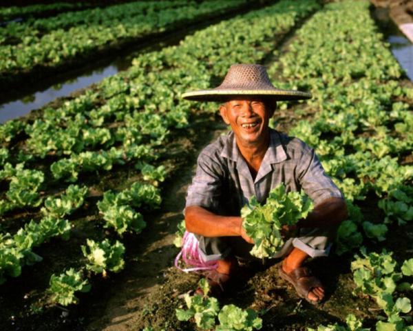 你真的能改變生活嗎？農村人的致富方法其實是可以複製的