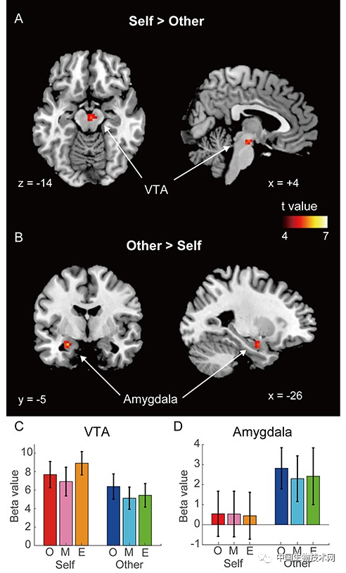 壓力太大，心情太差？那就去照照鏡子啟用“獎勵途徑”...