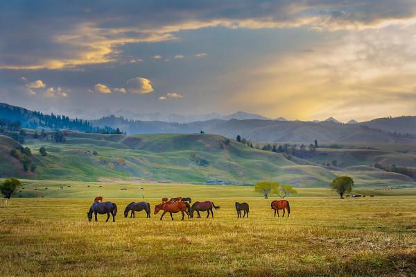 中國最豪華的旅遊火車專列開通了，沿途風景每一幀都是世界級大片