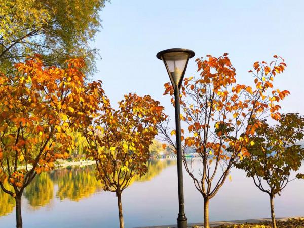 玉淵潭秋色秋韻,像莫奈筆下的畫 玉淵潭秋色秋韻,像莫奈筆下的畫