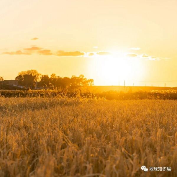 東北鹽鹼化，令人非常擔憂