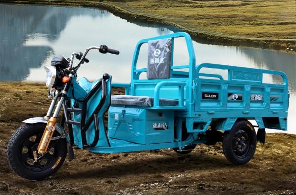這兩款新電動三輪車,動力強勁,適合載重貨騎行 這兩款新電動三輪車,動力強勁,適合載重貨騎行
