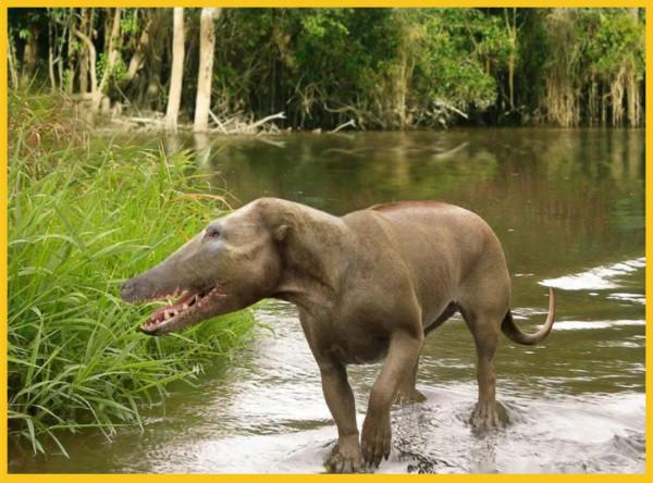 你真的瞭解鯨魚嗎?看完可能顛覆你的認知,祖先竟是陸生動物 你真的瞭解鯨魚嗎?看完可能顛覆你的認知,祖先竟是陸生動物