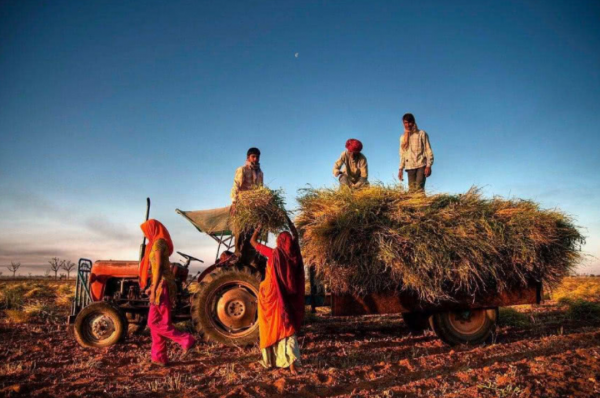 地球正在變綠？原因在中國和印度，專家卻對印度的“綠”十分擔憂