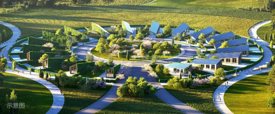 打造全球神往的森林群島“度假星球”