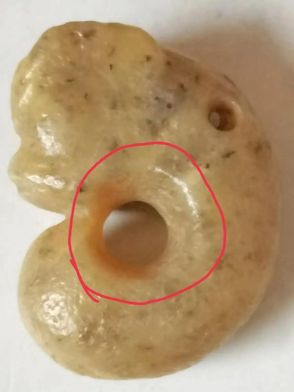 班門弄斧說豬龍