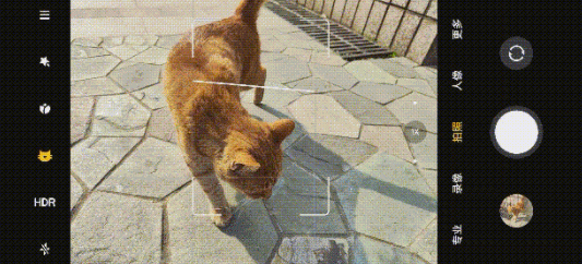 Xiaomi 12上手4天，拍照體驗直逼專業相機，年輕人第一部單反手機