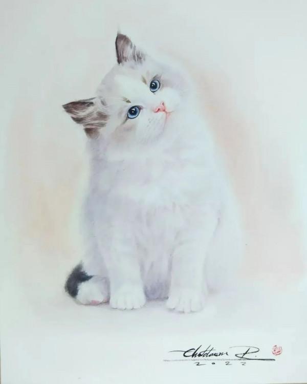 泰國貓王和他的水彩貓帝國