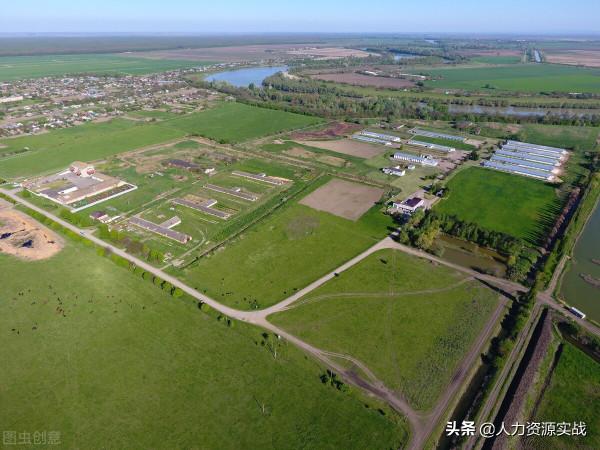 我在俄羅斯當農民，在西伯利亞開荒種糧種菜養雞養豬的難忘歲月