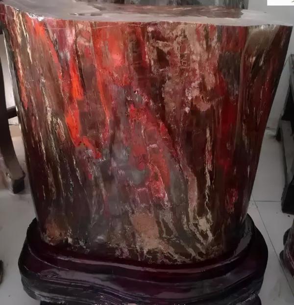 木化石，億萬年前的遺世孤品