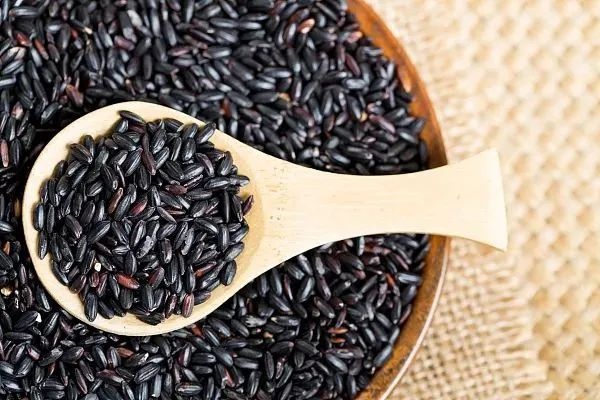 早睡晚起、多吃苦味食物……小雪時節這樣養生 早睡晚起、多吃苦味食物……小雪時節這樣養生