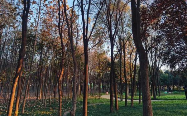 &OpenCurlyDoubleQuote;媽媽，快帶我去撒歡兒！&rdquo;