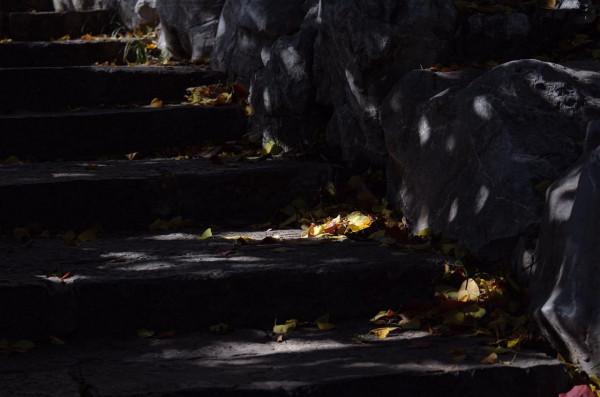 小雪日是誰打翻了大自然的調色盤讓張公湖初冬如此動人