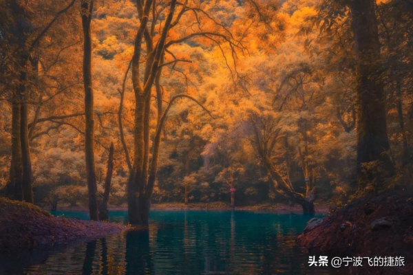 秋天，我建議你一定要去一次貴州