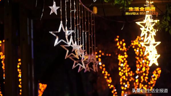 日逛花展,夜遊極光!音樂、美食、燈光秀在召喚每一個愛玩的你 日逛花展,夜遊極光!音樂、美食、燈光秀在召喚每一個愛玩的你