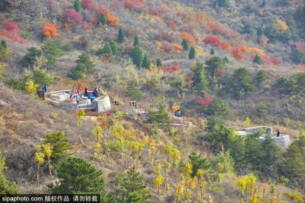 最新實拍!北京這裡紅葉美翻了!關鍵人少還免費,快來打卡 最新實拍!北京這裡紅葉美翻了!關鍵人少還免費,快來打卡
