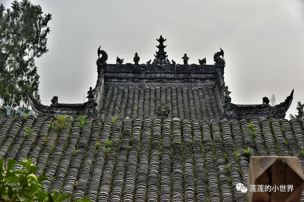 尋古蹟的蓮蓮:神秘洞穴 | 古郪國消逝後的郪江崖墓群 尋古蹟的蓮蓮:神秘洞穴 | 古郪國消逝後的郪江崖墓群