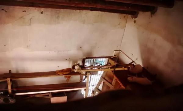 “啊?你這種條件還養什麼貓?” “啊?你這種條件還養什麼貓?”