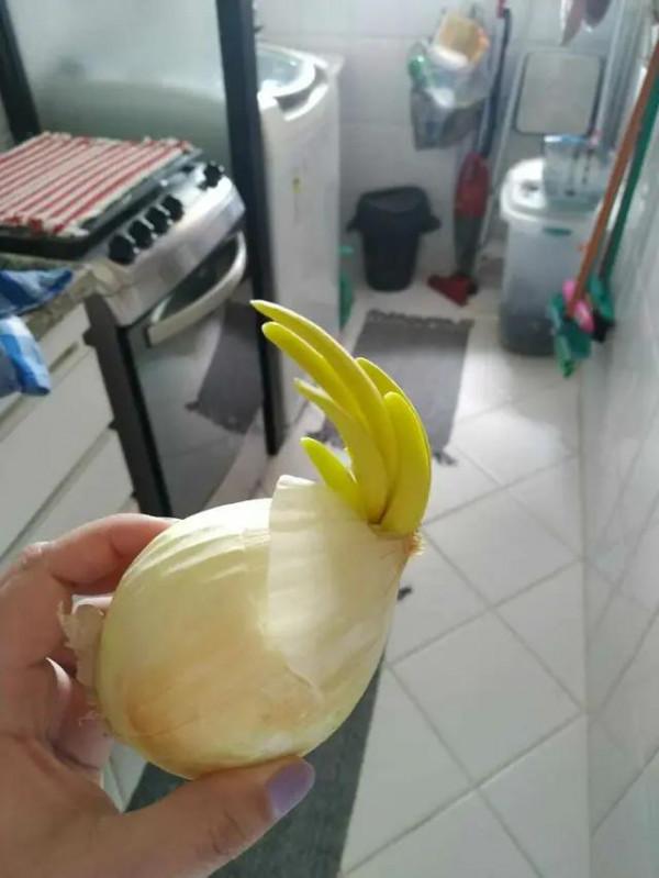 40張一眼會看錯的照片，大腦欺騙了你