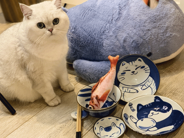 萬萬沒想到，我竟然被一套陶瓷餐具萌化了