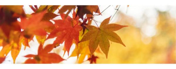 均價30塊，秋冬變美心機好物5件