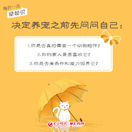 養寵物，你真的做好準備了嗎？