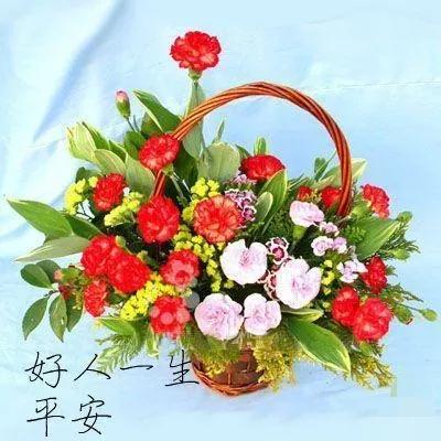 一生的朋友,認識你真好 一生的朋友,認識你真好