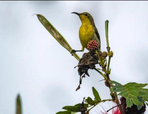 小氣和大方 不同的生活方式 不同的人生選擇 你更欣賞哪一個