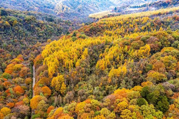 秘境南壩溝——四川光霧山 秘境南壩溝——四川光霧山