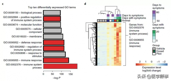 AAV遞送的RNAi療法在非人靈長類腦中導致神經毒性 AAV遞送的RNAi療法在非人靈長類腦中導致神經毒性