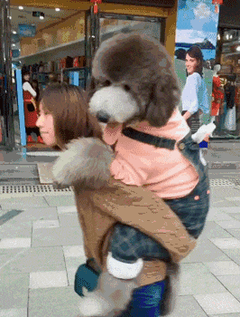 女生適合養這幾種“大狗”，你知道為什麼嗎？