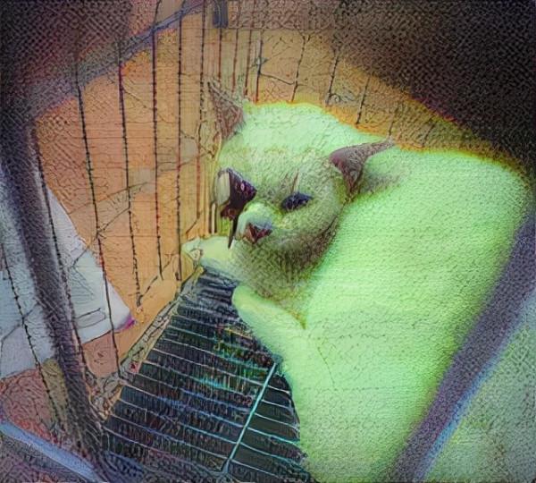 16年前，復旦大學研究生虐殺30只小貓：心煩時挖貓眼只為尋求快感