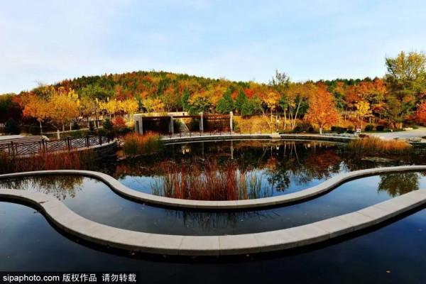 北京附近竟藏了一條絕美國道，沿途盡是美景！賞紅葉正好！