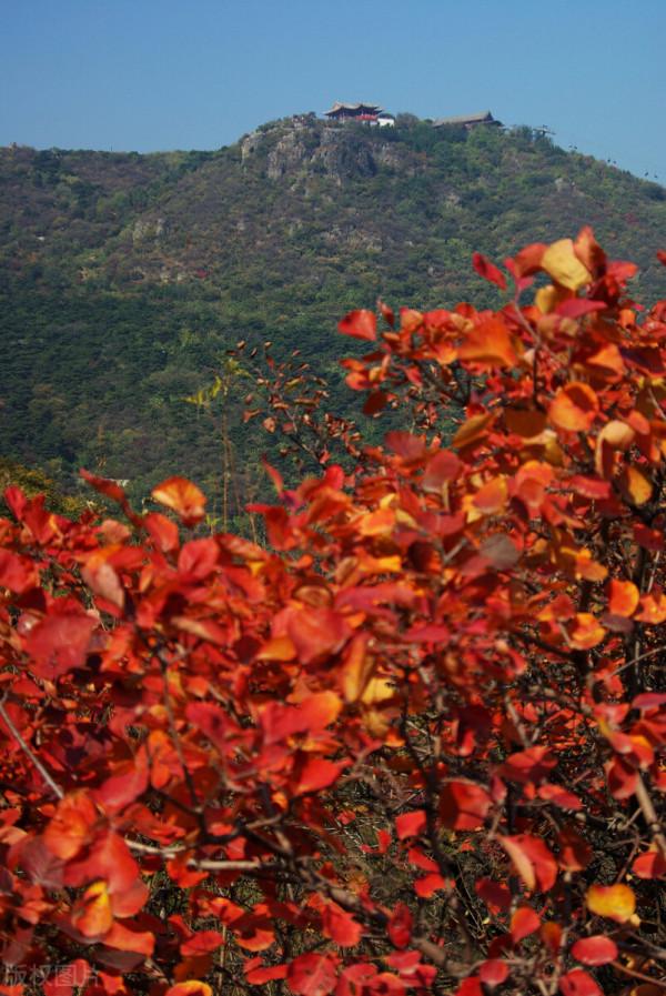 紅色才是中國秋天的主打色！這17處楓葉觀賞地，總有一個能驚豔你
