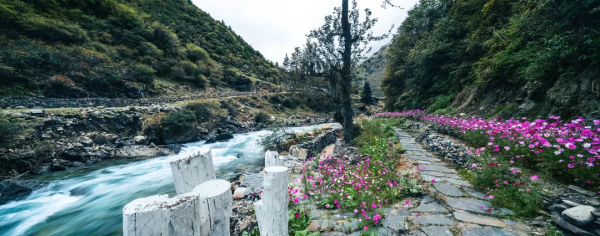 臥看雪山、室內泡湯，丁真家鄉這家民宿堪稱2021年收官王炸之作