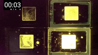 兩組分變三組分，有機長餘輝效能超Nature前作