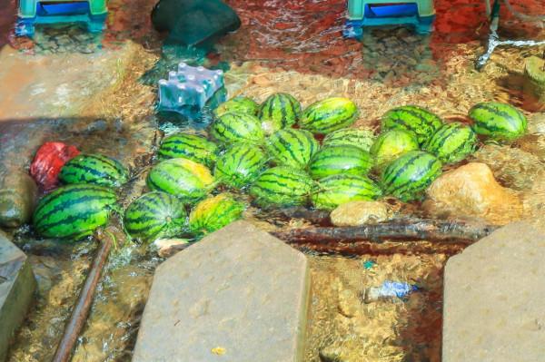 梵淨山下的雲舍村，曾經猴子愛喝的水，現在成了村民們的天然冰箱