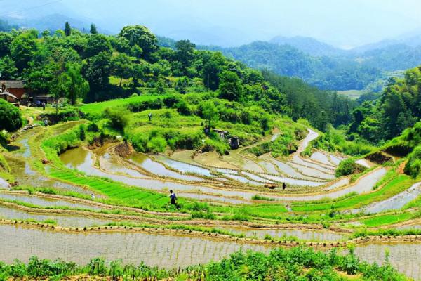 湖北一景區走紅，攝影愛好者的“天堂”，門票免費，遊客很多