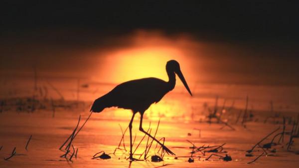 莊子：不輕易評論別人的苦難，才能收穫好人緣