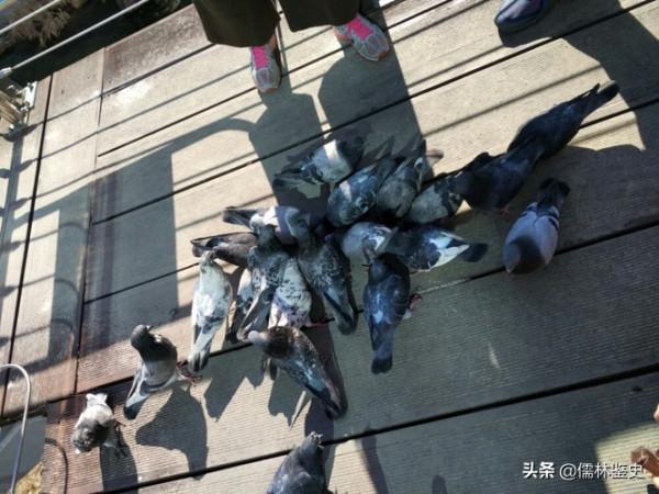 首爾現狀,一起看看真實的首爾 首爾現狀,一起看看真實的首爾