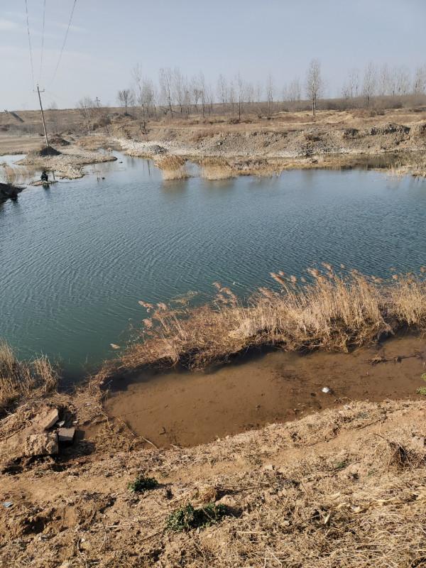 冬季釣魚堅持用小鉤細線軟竿，還要配合抄網