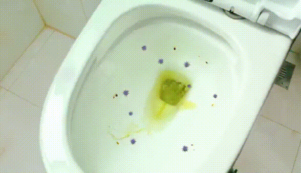 一見鍾情的幾件“家居用品”，買時心疼，用後超爽