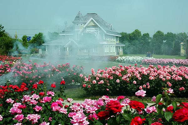 長三角這9條美麗鄉村休閒旅遊行（秋季）路線，你走過幾條？