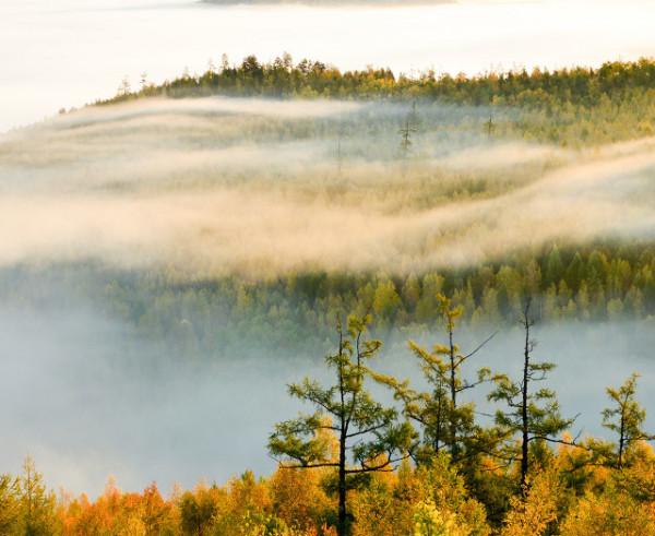 為你讀詩|古老的箴言 為你讀詩|古老的箴言