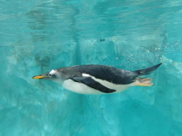 父母日常行為影響著孩子們的一生 父母日常行為影響著孩子們的一生