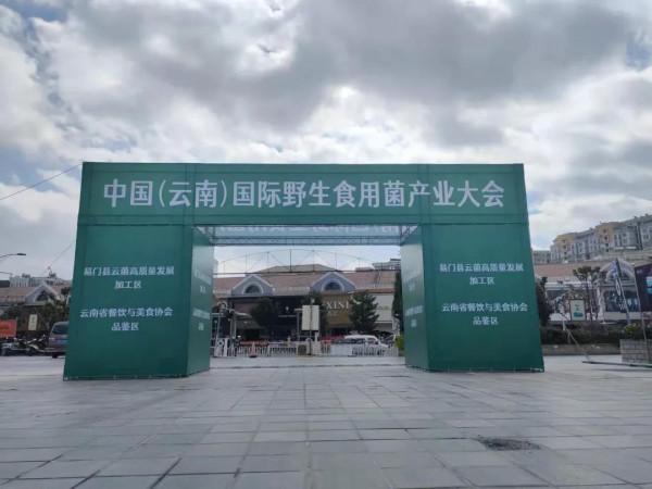 雞樅人工種植成功？野生食用菌產業大會，重新整理你對食用菌的認知