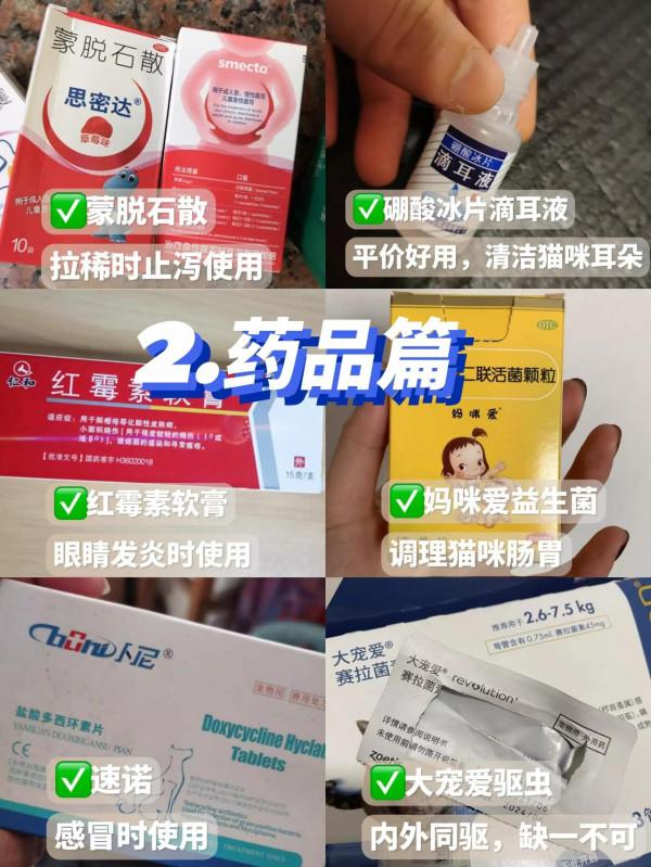 要想養貓不踩雷，這幾點要提前知道