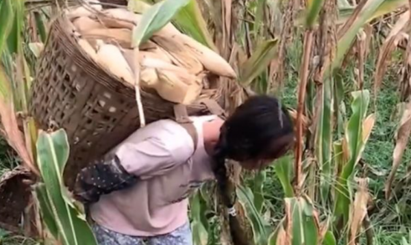 黃琴：因辭職回家照顧奶奶走紅，有車有房還領低保，賣慘第一人？