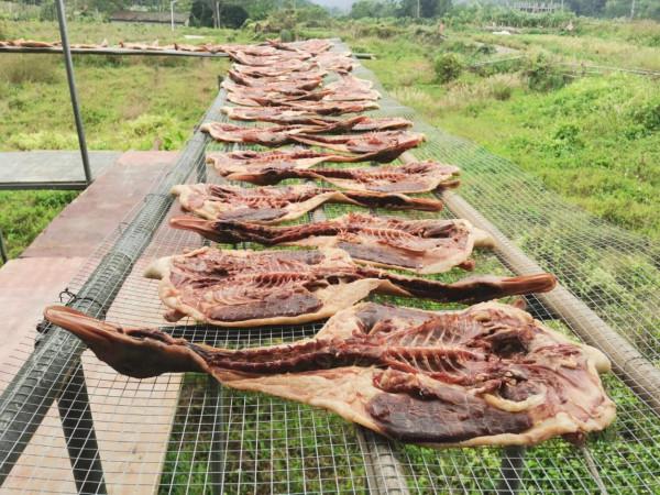 橫河臘味又飄香 直播助力土特產“變現”